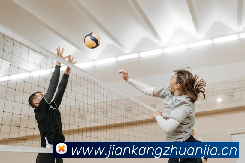 App Interface Preview